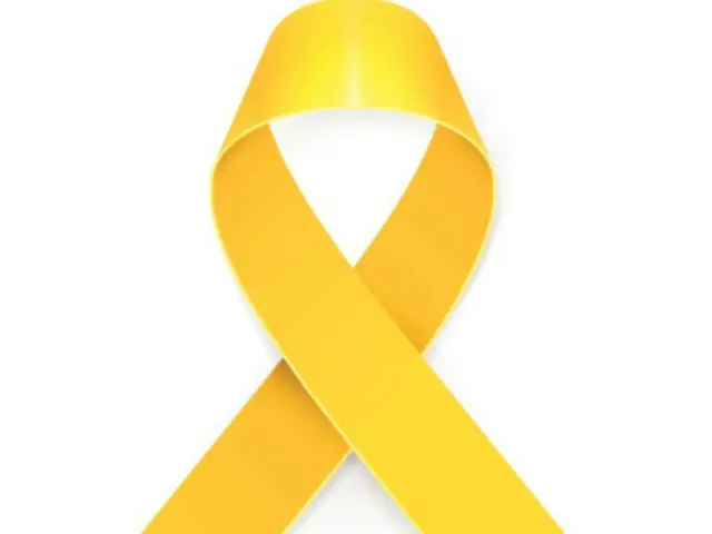 <W解説>韓国・セウォル号沈没事故から10年、「黄色いリボン」に込められた思い