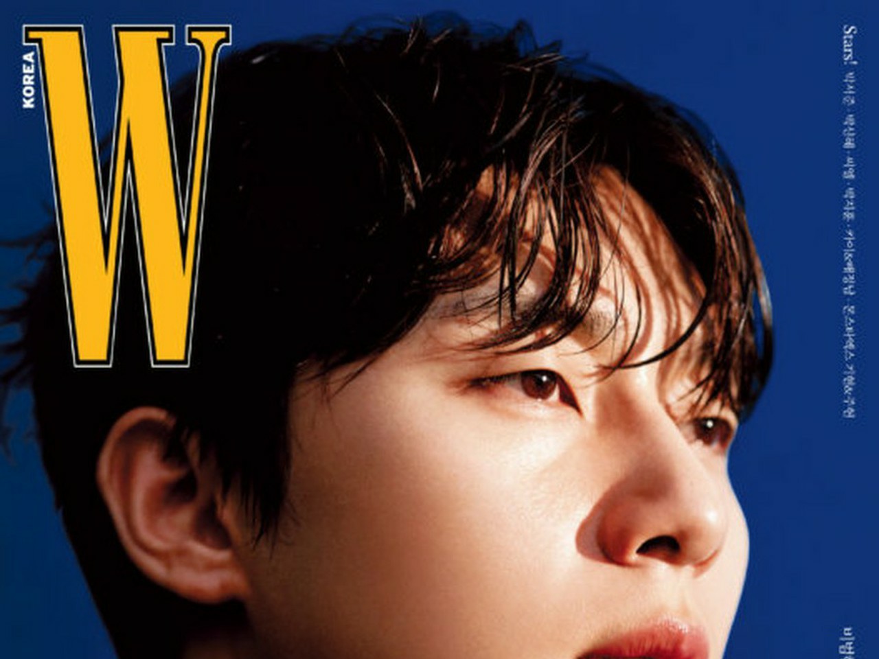 W Korea Wowkorea