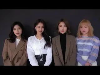 【公式】NINE MUSES、2018旧正月の挨拶