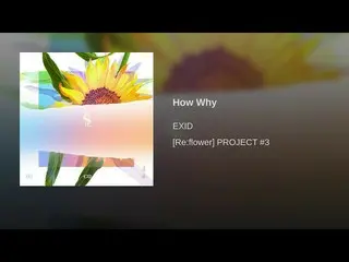 【公式】EXID、「How Why」公開