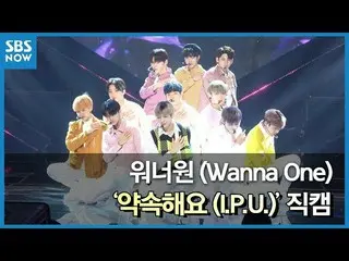 【公式sbn】 SBS「人気歌謡」Wanna One -「I.P.U.」団体直カムver