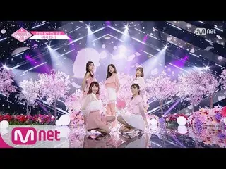 【公式mnp】 PRODUCE 48、コンセプト評価エンディング妖精-再会180810 EP.9   