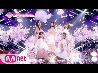 PRODUCE 48、宮脇 咲良、カン・へウォン、竹内 美宥などの「また会おう」本番舞台