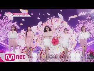 【公式mnp】 PRODUCE 48、宮脇 咲良などの「また会おう」2倍速ダンスコンセプトの評価180824 EP.11 ●宮脇 咲良●カン・ヘウォン●ワン・イ