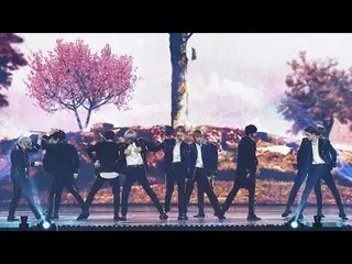 【公式lo】 [MMA X 1theK] Wanna One、  Fancam _ 「Spring Breeze」  