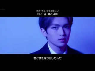 【日本語字幕】UP10TION  -  Blue Rose   