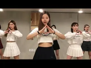 PRODUCE 48、テーマ曲「ネッコヤ」(PICK ME)の振付けの「試案」が公開