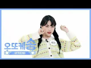 【公式mbm】【週刊アイドル未放送分】オットケソング♡ GFRIEND イェリンl EP.447   