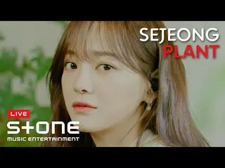 【t公式】gugudan、RT StoneMusicEnt：清涼清涼セジョン異議「植木鉢」のライブ🌿 これフルバージョンでなければならないㄹㅇ,, 笑顔に心ク