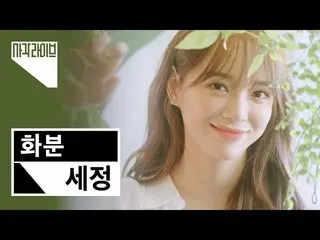 【t公式】gugudan、RT gems_genie：春のように暖かく包み込んでくれるセジョンが声🌸植木鉢正方形ライブ公開❕#SEJEONG #セジョン #鉢