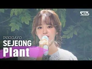 【公式sb1】 gugudan SEJEONG(セジョン) -  Plant人気歌謡inkigayo 20200322   