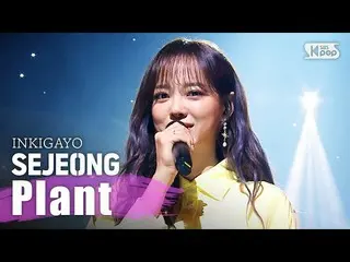 【公式sb1】gugudan SEJEONG(セジョン) - 植木鉢(Plant) 人気歌謡 inkigayo 20200329   