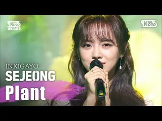 【公式sb1】gugudan SEJEONG(セジョン) - 植木鉢(Plant)人気歌謡inkigayo 20200405   