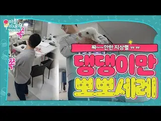 【公式sbe】 チ・サンリョル、GFRIEND_ 代わりキスしてくれるデンデンイに感動♡ㅣ醜い私たちの子(Woori)ㅣSBS ENTER