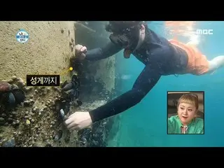 【公式mbe】 [私は一人住んでいる]魚憑依したイ・ジャンウ_ のムール貝ジュプジュプ...♪泳ぐちょっと男20200703   