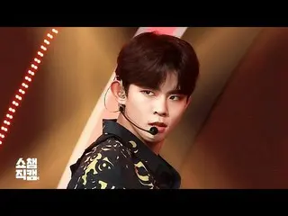 【公式mbm】【SHOW CHAMPION__]TOO_ ・ドンゴン - ステップ・バイ・ステップ(TOO_ _ DONG GEON  -  Step by S