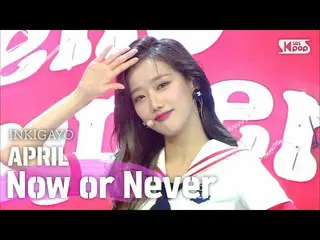 【公式sb1】APRIL_ _ (APRIL_ ) -  Now or Never人気歌謡_ inkigayo 20200802   