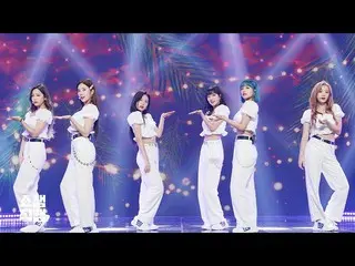 【公式mbm】【SHOW CHAMPION__]APRIL_  - パラダイス(APRIL_ _  -  PARADISE)l #SHOW CHAMPION_ 