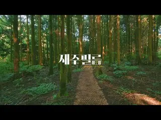 【d公式yg】ひとりと少し怖かったが、再び歩きたい三多水森の道| SAMDASOO FOREST PATH FILM  #SECHSKIES <芸フィルム> |