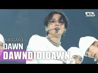 【公式sb1】DAWN(た) -  DAWNDIDIDAWN(Feat