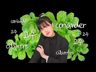 【t公式】CLC、_ [ENG]固守🌿食べるの下水(TBH..I do not like cilantro ...) ▶️ #CLC #CLC  #オスンフイ