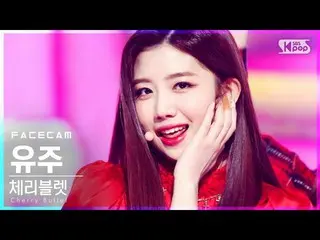 【公式sb1】【フェイスカム4K] Cherry Bulletユーズド」Love So Sweet」(CherryBullet_ YU JU FaceCam)│