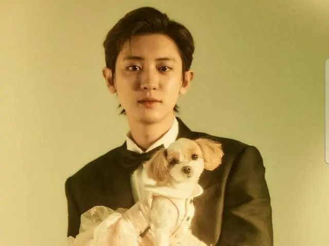 #EXO Chanyeol、「結婚式の服装」が韓国で話題。