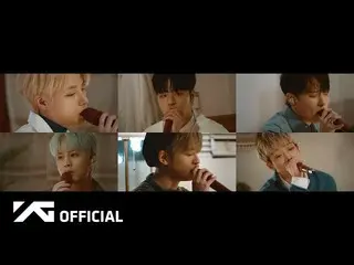 【公式】iKON、iKON  - 「なぜウェウェ(Why Why Why)」LIVE VIDEO  