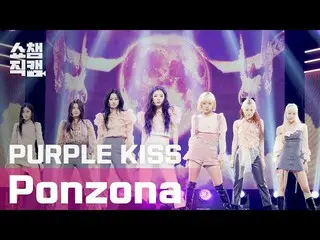 【公式mbm】【SHOW CHAMPION__] PURPLEKISS_ (PURPLEKISS_ _ ) - フォンジョナス(PURPLEKISS_ _  -