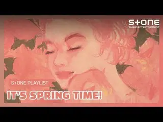 【公式cjm】 [Stone Music PLAYLIST]花咲く春迎えプレイリスト！|ロイ・キム_ 、BuskerBusker_ 、ジャンボムジュン、ハウン(