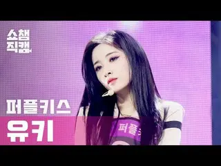 【公式mbm】【SHOW CHAMPION__] PURPLEKISS_ ゆき - フォンジョナス(PURPLEKISS_ _ YUKI  -  Ponzona