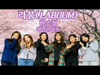 【t公式】LABOUM、[ #LABOUM]レイナのビスケットと - こんぺいとうビョルビョルリクエスト曲/リスナーのリクエスト曲した小節ミニコンサート🎤 #