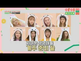 【公式jte】 (所長、各)ウサギ・ヘムチフード耳詠WekiMeki_ (WEKIMEKI)(for