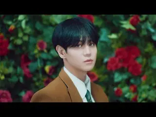 【公式】HIGHLIGHT、[MV]_ヤン・ヨソプ(Highlight)  -  BRAIN(Lip ver