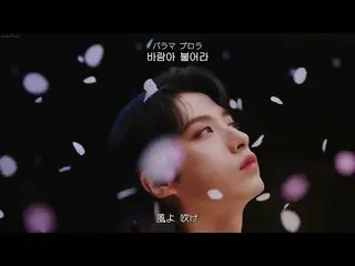 【日本語字幕】【Japanese Sub】 ONEUS_ _ (ONEUS_ ) - 月下美人 : LUNA(ウォルハミイン)  