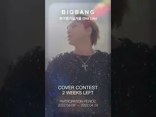 【公式】BIGBANG、BIGBANG - 「春夏秋冬(Still Life)」 COVER CONTEST D-14  