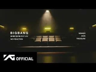 【公式】BIGBANG、BIGBANG - '春夏秋冬(Still Life)' M/V REACTION  