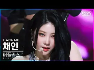 【公式sb1】【安房1列_】 PURPLE KISS_  採用された「メンバー」 (PURPLE KISS_ _  CHAEIN 'memeM' FanCam)