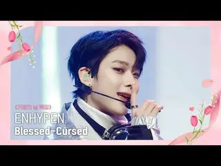 【公式mnk】[ENHYPEN_ _  - Blessed-Cursed] Family Month' Special #M COUNTDOWN_  EP.75