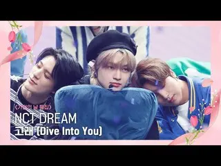 【公式mnk】[NCT_ _ DREAM_ _  - Dive Into You] Family Month' Special |  #M COUNTDOWN_