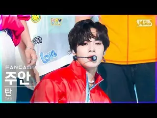 【公式sb1】【安房1列_】タンジュアン「LOUDER」(TAN Joo An FanCam)│@SBS 人気歌謡_2022.06.26