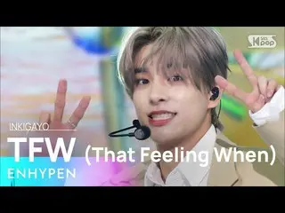 【公式sb1】ENHYPEN_ _ (ENHYPEN_ ) - TFW (That Feeling When) 人気歌謡_  inkigayo 20220710