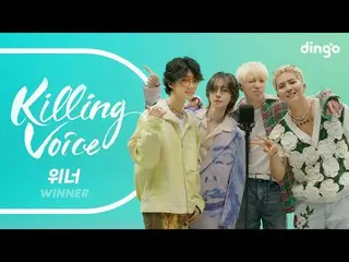 【公式din】  WINNER(WINNER_ _ )のキリングボイスをライブで！ |ディンゴミュージックDingo Music  