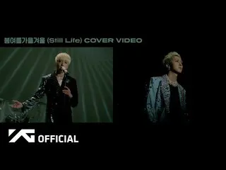 【公式】WINNER、YOON X MINO - BIGBANG「春夏秋冬(Still Life)」 COVER VIDEO  