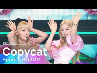 【公式sb1】Apink_ _  CHOBOM(Apink_  春先) - Copycat 人気歌謡_  inkigayo 20220724  