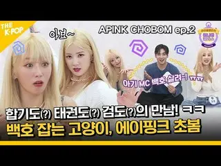 【公式sbp】 (APINK CHOBOM ep-2) 「赤ちゃんMC バックホを生かして～！ ㅠㅠ」タイガーキャッチ猫、Apink_ 春先(ENG sub) 