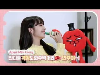 【公式】Apink、(SUB) Apink Mini Diary - パンダたち心配も一握りの距離🥊 おやすみ～！  