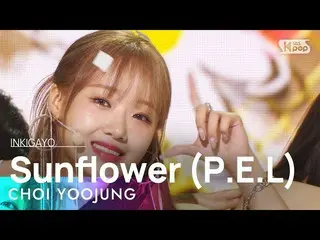 【公式sb1】CHOI YOOJUNG(チェユジョン) - Sunflower (PEL) 人気歌謡_  inkigayo 20220918  