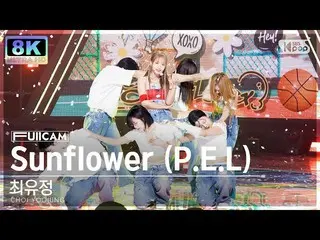 【公式sb1】【SUPER ULTRA 8K】チェ・ユジョン「Sunflower(PEL)」フルカメラ(CHOI YOOJUNG FullCam) SBS 人気