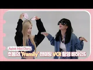 【公式】Apink、(SUB) Apink Mini Diary - 初春の「Framily」ファンミーティングVCR撮影ビハインド  